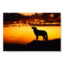 Wofl Sunset posters