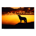 Wofl Sunset posters