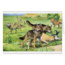 wolf and coyote greeting card