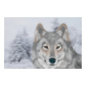 Wolf (Are You My Friend?) Poster posters