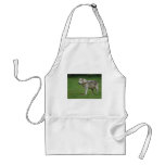 Wolf at Woburn Safari Park Aprons