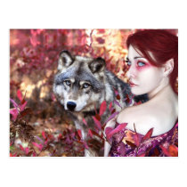 Wolf Autumn Collectors Postcard postcards