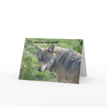 Wolf birthday card