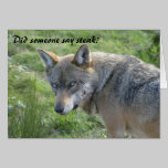 Wolf birthday card cards