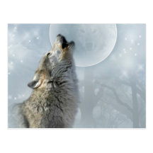 Wolf Blue Moon Post Cards