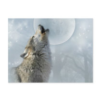 Wolf Blue Moon Post Cards