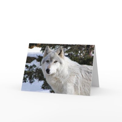 wolf card by deemac1