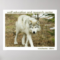 Wolf Center Poster posters