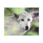 Wolf Charm