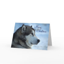 Wolf Christmas Card  - Merry Christmas