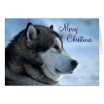Wolf Christmas Card  - Merry Christmas