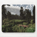 Wolf" Clearing mousepads