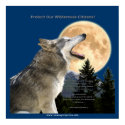 WOLF CRY Art Poster posters