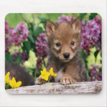 Wolf Cub Mousepad