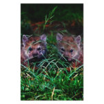 Wolf Cubs Custom Stationery