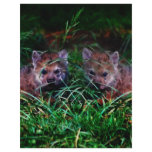 Wolf Cubs Flyers