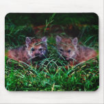 Wolf Cubs Mouse Pads