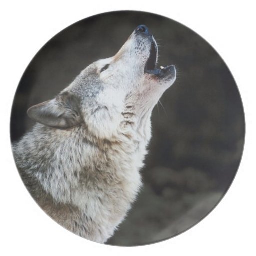 WOLF DECORATIVE PLATE Zazzle