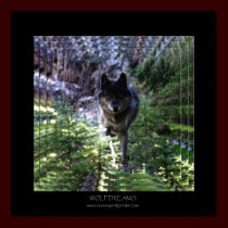 WOLF DREAMS Art Poster posters by RavenSpiritPrints WOLF DREAMS Art Poster posters