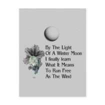 Wolf Dreams Post Card
