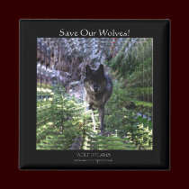 WOLF DREAMS Save Our Wolves! Magnet by RavenSpiritPrints WOLF DREAMS Save Our Wolves! Magnet