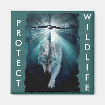 WOLF & EAGLE Wildlife Series Magnets