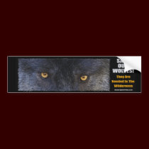 WOLF EYES Bumper sticker bumper stickers by RavenSpiritPrints WOLF EYES Bumper sticker bumper stickers
