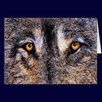 Wolf Eyes cards