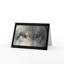 Wolf eyes cards by szedar Wolf eyes cards