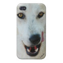 Wolf Eyes Case Savvy iPhone 4 Case