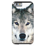 Wolf Eyes in woods wild nature animal iPhone 6 Case