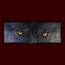 WOLF EYES Poster posters by RavenSpiritPrints WOLF EYES Poster posters