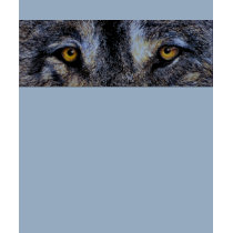 Wolf Eyes t-shirts by artbyjolyn Wolf Eyes t-shirts