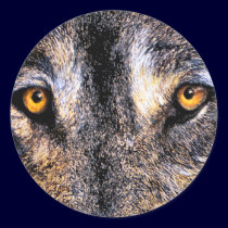 Wolf Eyes Stickers