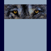 Wolf Eyes t-shirts