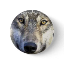 Wolf face close up buttons