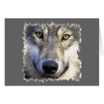 Wolf face close up card