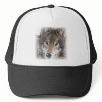 Wolf Gaze Trucker Hats