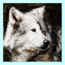 wolf head study posters