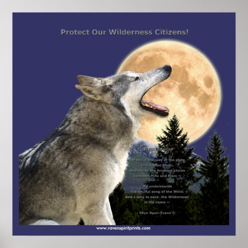 Wolf Howl And Moon Art Poster Zazzle