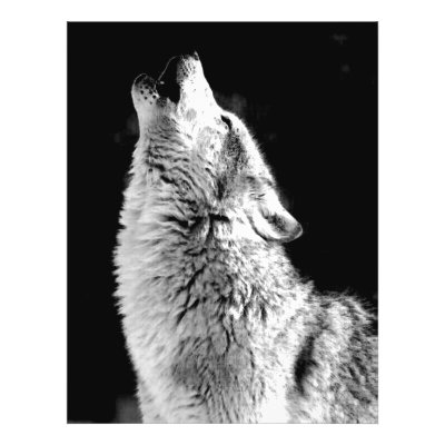 Wolf Howling at Moon Full