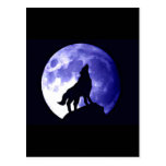 Wolf Howling at Moon Postcard