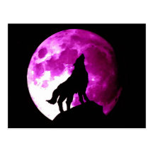 Wolf Howling at Moon Postcard