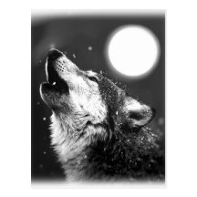 Wolf Howling at Moon Postcards
