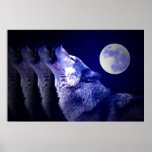 Wolf Howling at Moon Poster Print - Wolf Posters