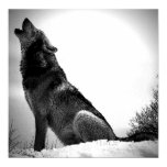 Wolf Howling at Moon Poster Print - Wolf Posters