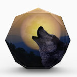 Wolf howling at the moon awards