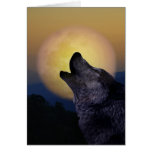Wolf howling at the moon greeting cards