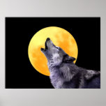 Wolf howls at the ull moon posters