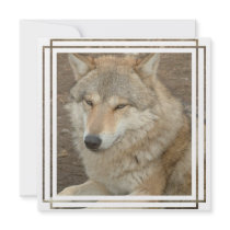 Wolf Invitation